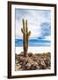 Cactus in Salar De Uyuni-Rigamondis-Framed Photographic Print