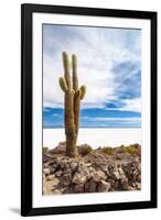 Cactus in Salar De Uyuni-Rigamondis-Framed Photographic Print