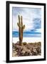 Cactus in Salar De Uyuni-Rigamondis-Framed Photographic Print