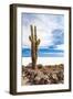 Cactus in Salar De Uyuni-Rigamondis-Framed Photographic Print