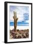 Cactus in Salar De Uyuni-Rigamondis-Framed Photographic Print