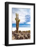 Cactus in Salar De Uyuni-Rigamondis-Framed Photographic Print