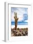 Cactus in Salar De Uyuni-Rigamondis-Framed Photographic Print