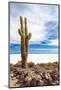 Cactus in Salar De Uyuni-Rigamondis-Mounted Photographic Print