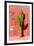 Cactus in Santa Catalina Monastery in Arequipa, Peru-Matyas Rehak-Framed Photographic Print