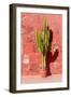 Cactus in Santa Catalina Monastery in Arequipa, Peru-Matyas Rehak-Framed Photographic Print