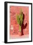 Cactus in Santa Catalina Monastery in Arequipa, Peru-Matyas Rehak-Framed Photographic Print