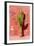 Cactus in Santa Catalina Monastery in Arequipa, Peru-Matyas Rehak-Framed Photographic Print