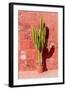 Cactus in Santa Catalina Monastery in Arequipa, Peru-Matyas Rehak-Framed Photographic Print