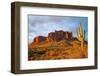 Cactus in the Desert Canyon on the Background of Rocks. Giant Cactus in Canyon Desert. Canyon Cactu-Dmitry Demkin-Framed Photographic Print