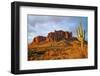 Cactus in the Desert Canyon on the Background of Rocks. Giant Cactus in Canyon Desert. Canyon Cactu-Dmitry Demkin-Framed Photographic Print