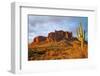 Cactus in the Desert Canyon on the Background of Rocks. Giant Cactus in Canyon Desert. Canyon Cactu-Dmitry Demkin-Framed Photographic Print