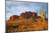 Cactus in the Desert Canyon on the Background of Rocks. Giant Cactus in Canyon Desert. Canyon Cactu-Dmitry Demkin-Mounted Photographic Print