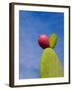 Cactus in the Desert, Peru-Keren Su-Framed Photographic Print