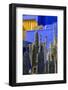 Cactus in the Garden of the Villa Majorelle, Marrakech, Morocco, North Africa, Africa-Martin Child-Framed Photographic Print