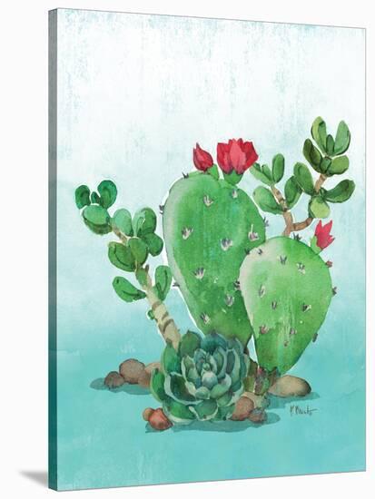 Cactus IV-Paul Brent-Stretched Canvas