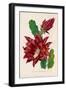 Cactus JenkinsonII-null-Framed Art Print