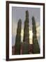 Cactus landscape. Angel de la Guarda Island. Baja California, Sea of Cortez, Mexico.-Tom Norring-Framed Photographic Print