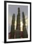 Cactus landscape. Angel de la Guarda Island. Baja California, Sea of Cortez, Mexico.-Tom Norring-Framed Photographic Print