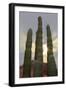 Cactus landscape. Angel de la Guarda Island. Baja California, Sea of Cortez, Mexico.-Tom Norring-Framed Photographic Print