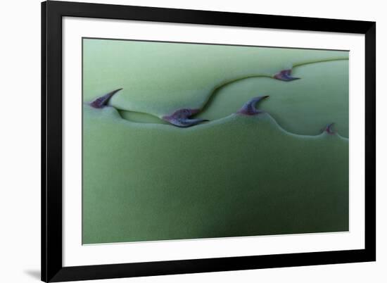 Cactus Leaf Pattern-Emily Goodwin-Framed Photographic Print