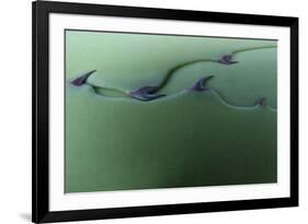 Cactus Leaf Pattern-Emily Goodwin-Framed Photographic Print