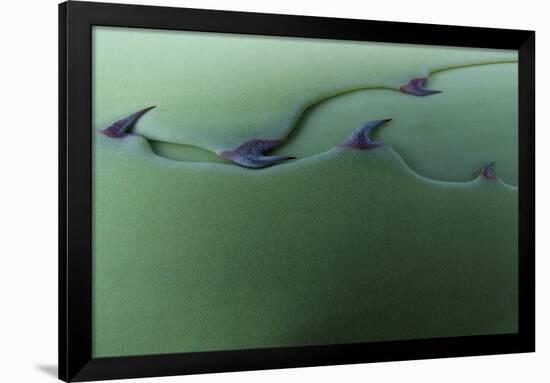 Cactus Leaf Pattern-Emily Goodwin-Framed Photographic Print