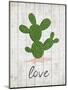 Cactus Love-Kimberly Allen-Mounted Art Print