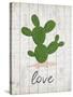 Cactus Love-Kimberly Allen-Stretched Canvas