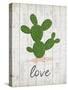 Cactus Love-Kimberly Allen-Stretched Canvas