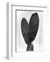 Cactus, Mexico City, 1925-Tina Modotti-Framed Giclee Print