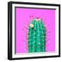 Cactus - Neon Pink Minimal Stillife-Indigo Photo Club-Framed Photographic Print