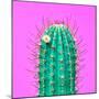 Cactus - Neon Pink Minimal Stillife-Indigo Photo Club-Mounted Photographic Print