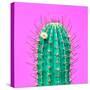 Cactus - Neon Pink Minimal Stillife-Indigo Photo Club-Stretched Canvas