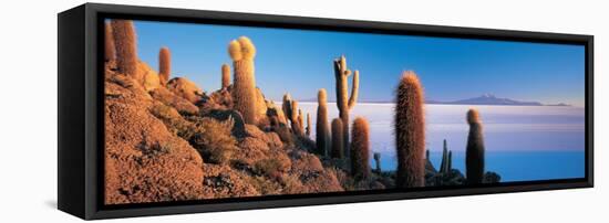 Cactus on a Hill, Salar De Uyuni, Potosi, Bolivia-null-Framed Stretched Canvas