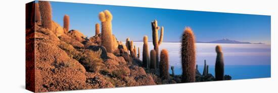 Cactus on a Hill, Salar De Uyuni, Potosi, Bolivia-null-Stretched Canvas