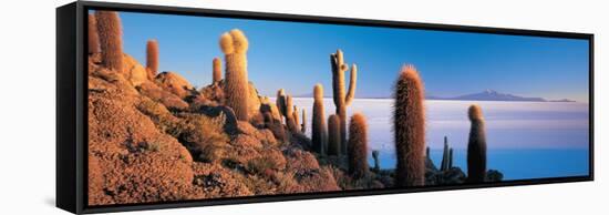 Cactus on a Hill, Salar De Uyuni, Potosi, Bolivia-null-Framed Stretched Canvas