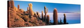 Cactus on a Hill, Salar De Uyuni, Potosi, Bolivia-null-Stretched Canvas