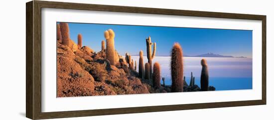 Cactus on a Hill, Salar De Uyuni, Potosi, Bolivia-null-Framed Photographic Print