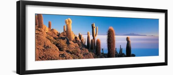 Cactus on a Hill, Salar De Uyuni, Potosi, Bolivia-null-Framed Photographic Print