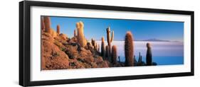 Cactus on a Hill, Salar De Uyuni, Potosi, Bolivia-null-Framed Photographic Print