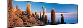 Cactus on a Hill, Salar De Uyuni, Potosi, Bolivia-null-Mounted Photographic Print