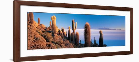 Cactus on a Hill, Salar De Uyuni, Potosi, Bolivia-null-Framed Photographic Print