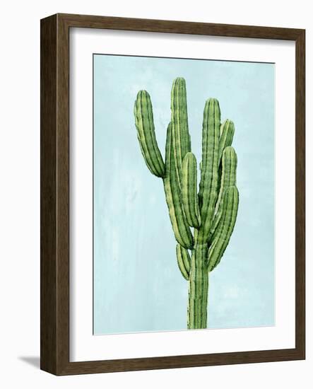 Cactus on Blue I-Mia Jensen-Framed Art Print