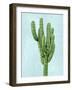 Cactus on Blue I-Mia Jensen-Framed Art Print