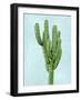 Cactus on Blue I-Mia Jensen-Framed Art Print