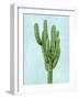Cactus on Blue I-Mia Jensen-Framed Art Print