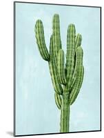 Cactus on Blue I-Mia Jensen-Mounted Art Print