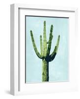 Cactus on Blue III-Mia Jensen-Framed Art Print