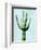 Cactus on Blue III-Mia Jensen-Framed Art Print